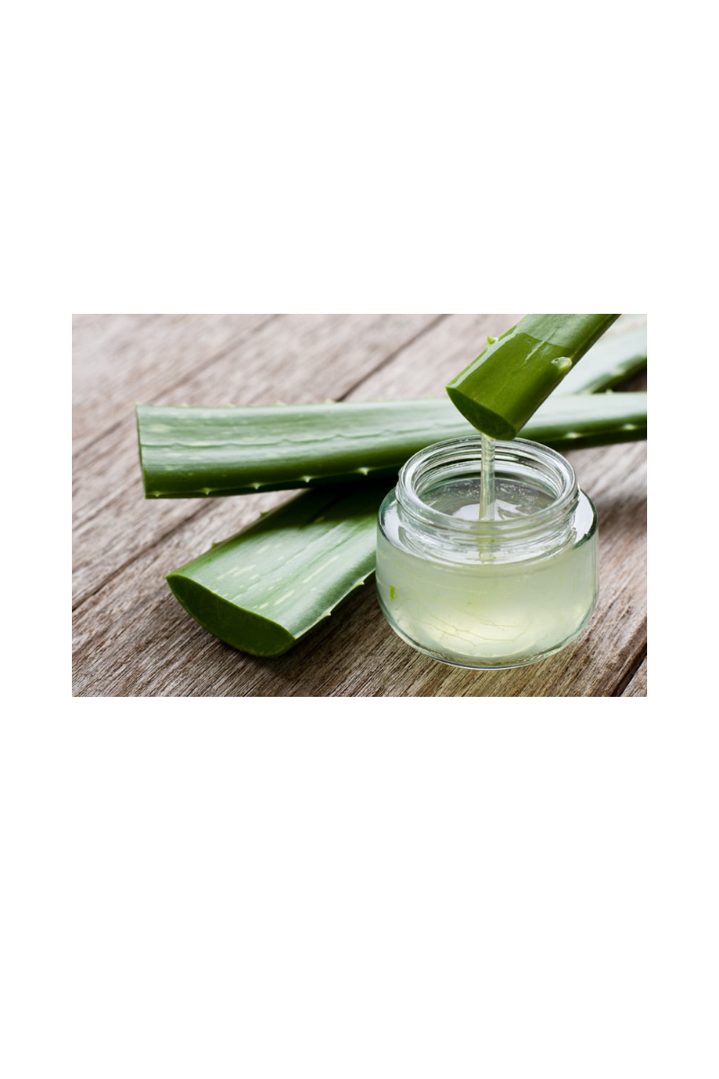 Aloe & Cool Cucumber Handcrafted Soap