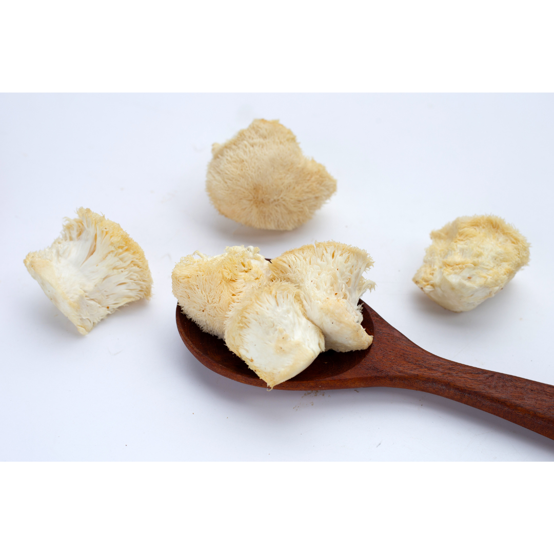 Lion's Mane Mushroom