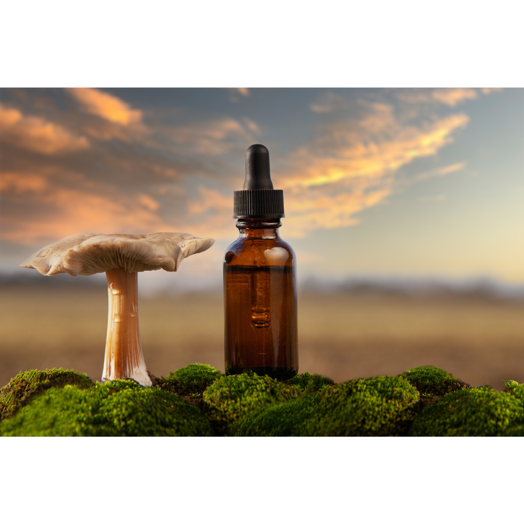 Mushroom Extract Gummies