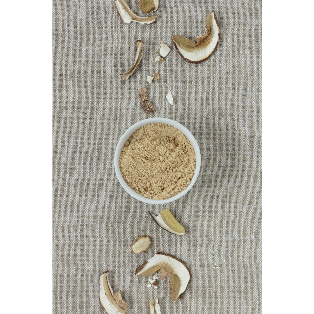 Fermented Mushroom Blend