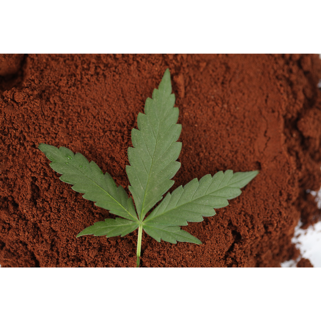 Organic Hemp Coffee Blend - Medium Roast 4oz