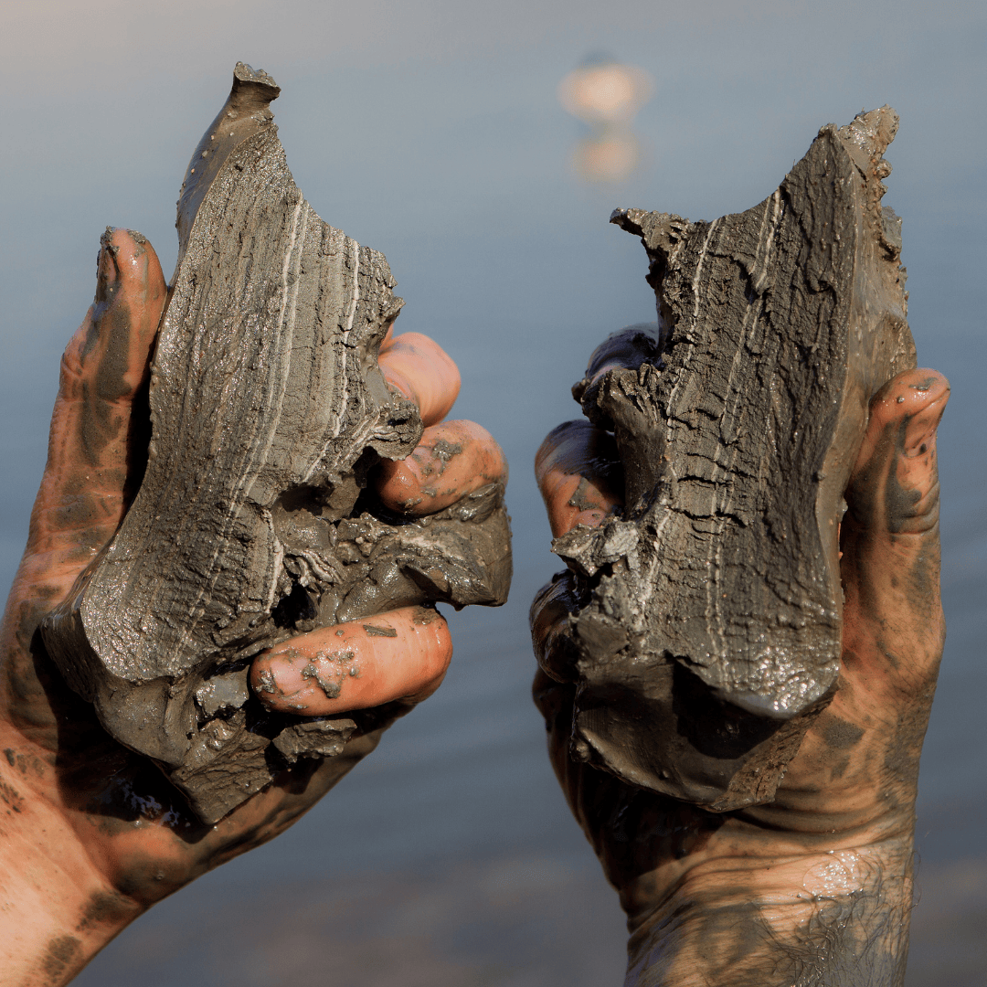 Dead Sea Mud