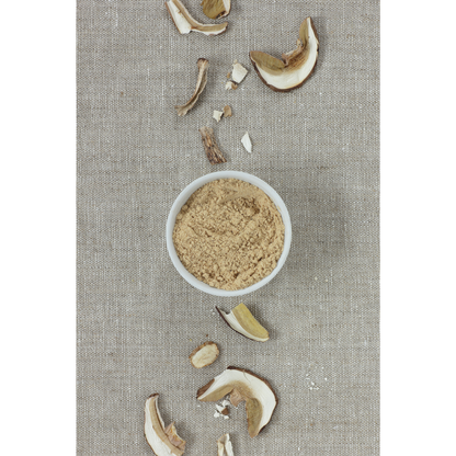 Fermented Mushroom Blend