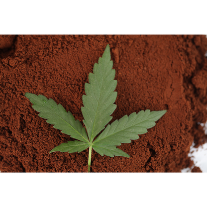Organic Hemp Coffee Blend - Medium Roast 4oz